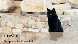  Presentation with technology green and black - Colorful presentation design enhanced with black cat at athens acropolis backdrop and a soft green colored foreground