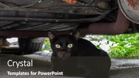  Presentation with hidden - PPT layouts enhanced with black-cat-hidden-under background and a dark gray colored foreground