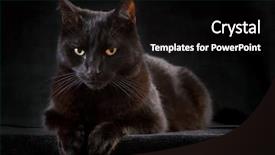  Presentation with evil - PPT layouts consisting of black cat on dark background background and a black colored foreground