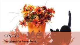  Presentation with fall foliage - Beautiful slides featuring black cat with colorful fall foliage some in a trick-or-treat bucket isolated on white backdrop and a coral colored foreground