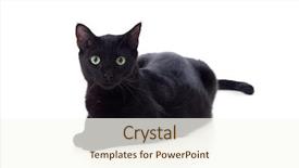  Presentation with black yellow - Beautiful presentation design featuring black cat with yellow eyes backdrop and a cream colored foreground