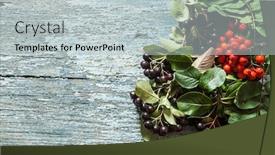  Presentation with wood ash - Slides enhanced with black chokeberry aronia melanocarpa berries with ash berry decoration on wood background background and a light gray colored foreground