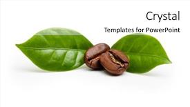  Presentation with brazil - Beautiful PPT theme featuring black coffee beans grain backdrop and a white colored foreground