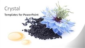  Presentation with cumin - Theme having black-cumin-seeds-and-drop background and a white colored foreground