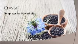  Presentation with cumin cumin cumin - Beautiful slide deck featuring black-cumin-seeds-with-flower backdrop and a sky blue colored foreground