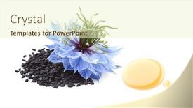  Presentation with oil seeds - Presentation design featuring black-cumin-seeds-with-flower background and a cream colored foreground