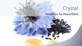  Presentation with cumin - PPT theme consisting of black-cumin-seeds-with-flower background and a sky blue colored foreground