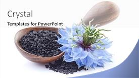  Presentation with cumin - Cool new slide set with black-cumin-seeds-with-nigella backdrop and a white colored foreground