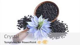  Presentation with nigella - Theme featuring black-cumin-seeds-with-nigella background and a sky blue colored foreground