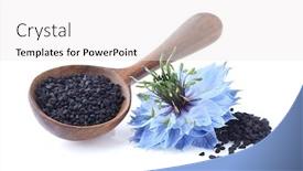  Presentation with cumin - Audience pleasing presentation theme consisting of black-cumin-seeds-with-sativa backdrop and a white colored foreground