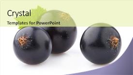 Presentation with currant - Slides with black currant - blackcurrant in closeup with leaves background and a blonde colored foreground