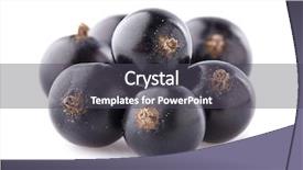  Presentation with blackcurrant - Presentation theme consisting of black currant - blackcurrant in closeup background and a dark gray colored foreground