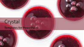  Presentation with fresh strawberry glass of berry - PPT theme enhanced with black currant and berry jam background and a  colored foreground