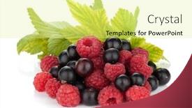 Presentation with currant - Colorful slides enhanced with black currant and raspberry isolated on white background backdrop and a blonde colored foreground