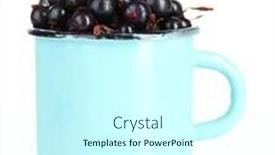  Presentation with currant - Presentation theme featuring black-currant-berries-in-mug background and a cool aqua colored foreground