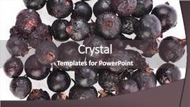  Presentation with black-tea - Theme with black currant berries tea heap background and a dark gray colored foreground