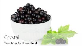  Presentation with currant - Beautiful PPT layouts featuring black currant bowl isolated on white background backdrop and a white colored foreground