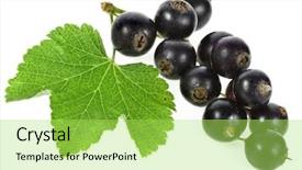  Presentation with currant - Amazing slide deck having black currant fruits backdrop and a yellow colored foreground