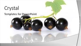  Presentation with currant - Presentation theme having black currant background and a  colored foreground