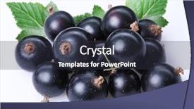  Presentation with currant - Beautiful presentation featuring black currant backdrop and a tawny brown colored foreground