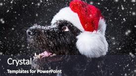  Presentation with christmas black kids - Colorful PPT layouts enhanced with black dog in santa outfit backdrop and a  colored foreground