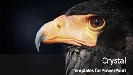  Presentation with black hawk eagle - PPT theme having cyber sickness - healthcare concept pixelated multicolor text background and a light gray colored foreground