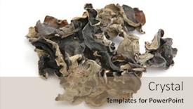  Presentation with fungus - Amazing PPT layouts having black fungus backdrop and a coral colored foreground