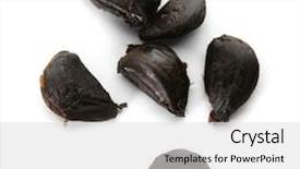  Presentation with garlic - Colorful theme enhanced with black garlic allium sativum backdrop and a light gray colored foreground