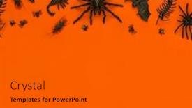  Presentation with blank - Presentation theme consisting of black halloween creepy crawly bugs background and a gray colored foreground