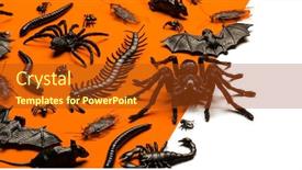  Presentation with creepy crawly - PPT layouts consisting of black halloween creepy crawly bugs background and a tawny brown colored foreground