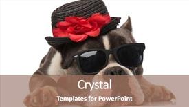  Presentation with red white grey - PPT theme consisting of black hat lying on white background and a coral colored foreground