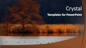  Presentation with czech republic - Slides consisting of black-headed-gull-jaroslavice-pond background and a wine colored foreground