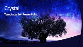  Presentation with night sky constellation - Colorful slide deck enhanced with black hole space star - night sky with tree mixed backdrop and a  colored foreground