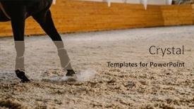  Presentation with equestrian - Slide deck with black-horse-riding-in-pen background and a coral colored foreground