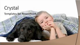  Presentation with old dog - Presentation design consisting of black labrador - boy and dog - four background and a white colored foreground