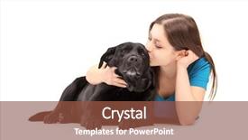  Presentation with dog - Cool new slide set with black labrador - young female hugging and kissing backdrop and a tawny brown colored foreground