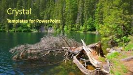  Presentation with czech republic - Presentation theme having black-lake-cerne-jezero background and a tawny brown colored foreground