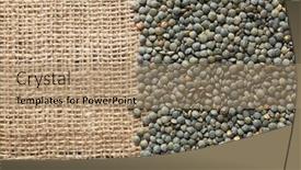  Presentation with lentils - 