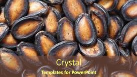  Presentation with black seed - 