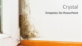  Presentation with fungus - Cool new PPT layouts with black-mould-and-fungus backdrop and a white colored foreground