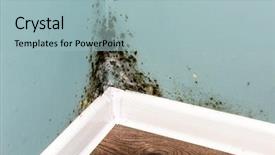  Presentation with wall - Theme featuring black mould on wall closeup background and a light blue colored foreground