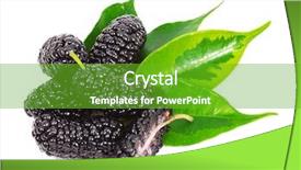  Presentation with white mulberry - Colorful presentation theme enhanced with black mulberry close-up isolated backdrop and a shamrock green colored foreground