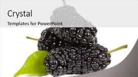  Presentation with white mulberry - Cool new slides with black mulberry close-up isolated backdrop and a white colored foreground