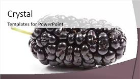  Presentation with white mulberry - Cool new presentation theme with time for action change concept backdrop and a light gray colored foreground.