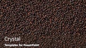  Presentation with mustard seed - PPT theme with black-mustard-seed-close-up background and a wine colored foreground