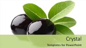  Presentation with leaves - PPT layouts having black olives with leaves background and a yellow colored foreground