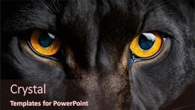  Presentation with black face womens rights - Slide deck with black-panther-face-on-black background and a wine colored foreground