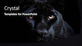  Presentation with black and darg orang preson - Presentation enhanced with black-panther-face-on-dark background and a black colored foreground