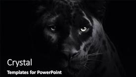  Presentation with dark - PPT theme consisting of black-panther-face-on-dark background and a black colored foreground