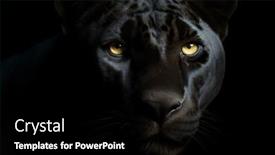  Presentation with black dark neuron connections - PPT theme having black-panther-face-on-dark background and a black colored foreground